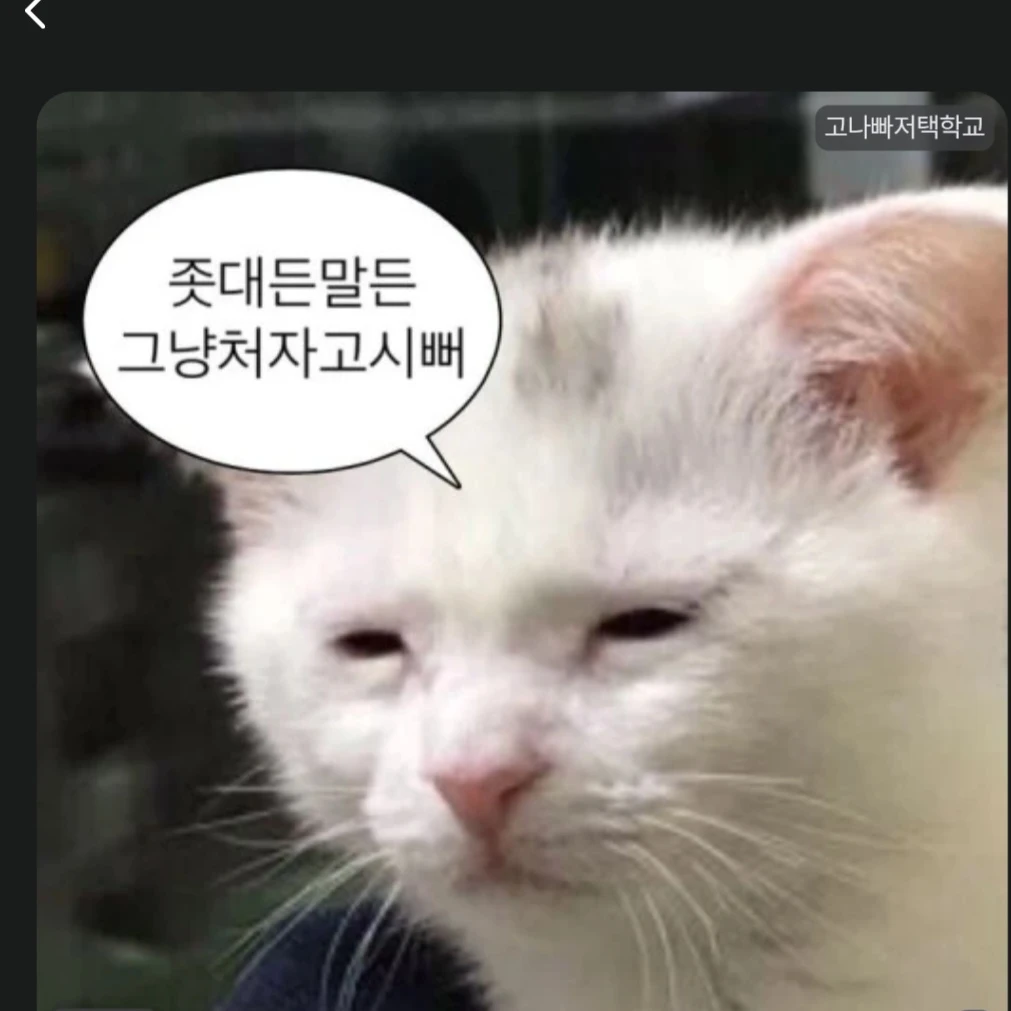 그냥 당신의 친구