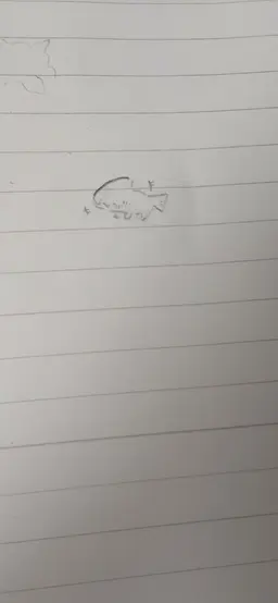 Profile image of Saeo