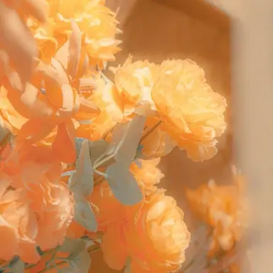 Profile image of 向井 康二