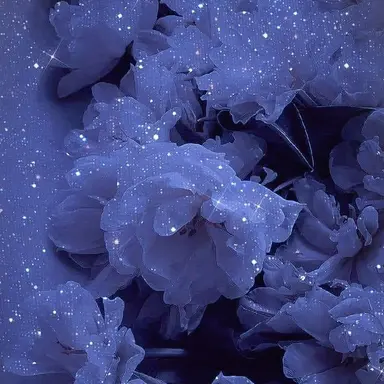 Profile image of 渡辺 翔太