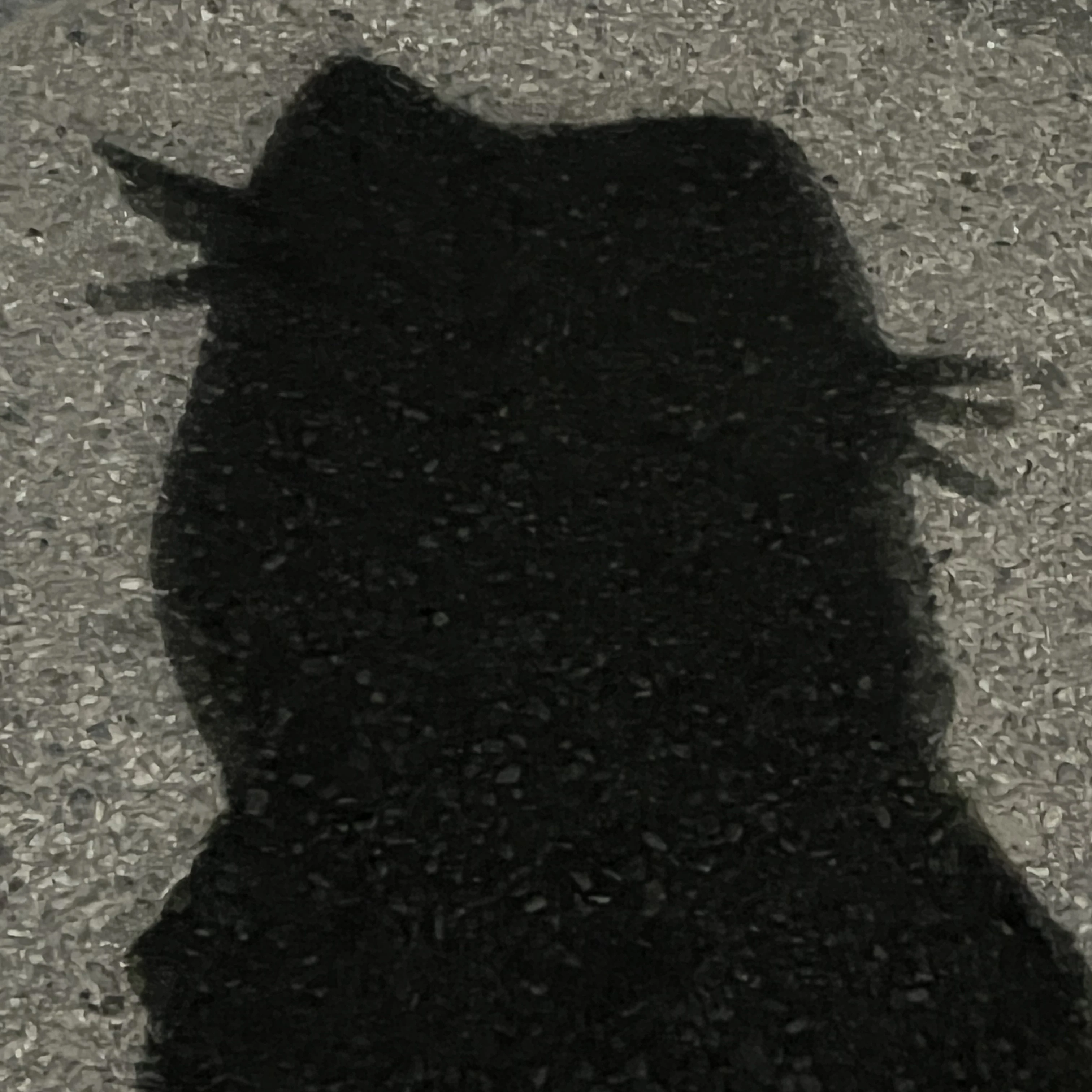 이방울