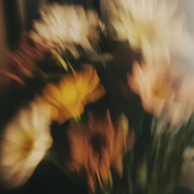 Profile image of 도윤