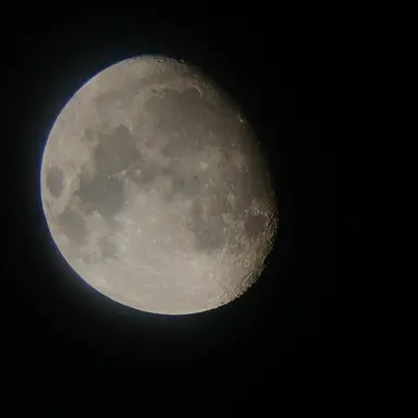 Profile image of 달의 전당