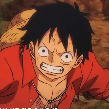 Profile image of 몽키 D. 루피