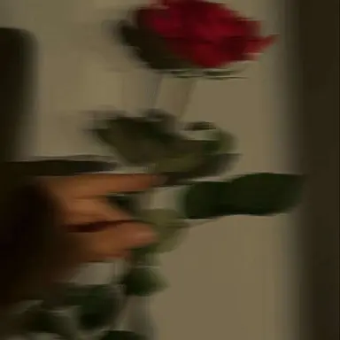 Profile image of Revolution