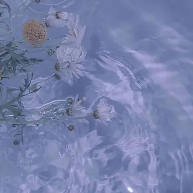 Profile image of 잭