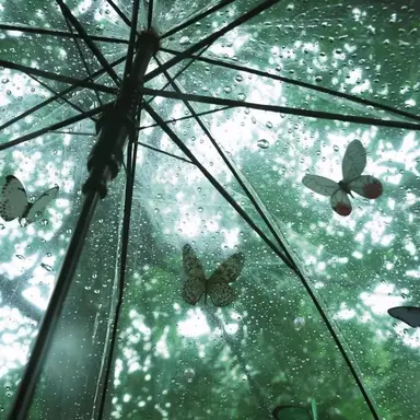 Profile image of 오뉴