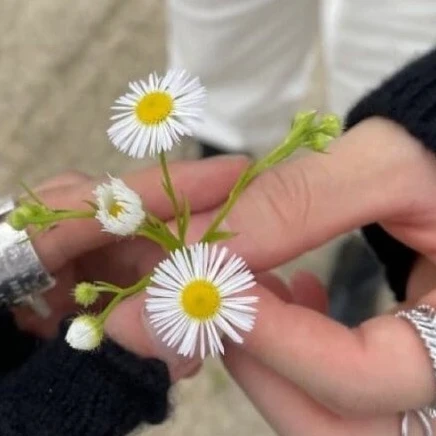 한지성