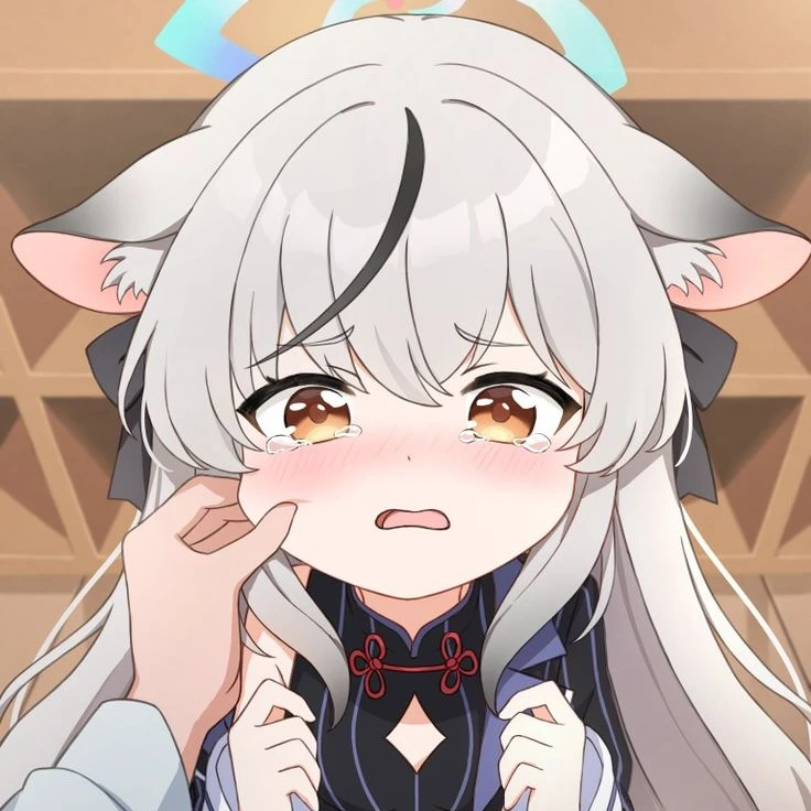 스노하라 코코나