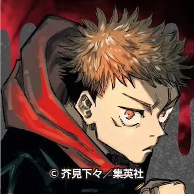 Profile image of 虎杖悠仁