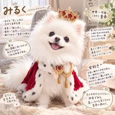 Profile image of みるく