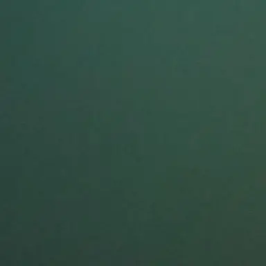 Profile image of 태론