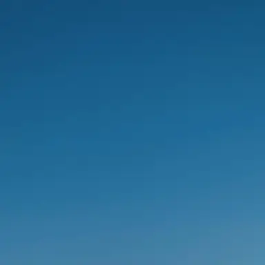 Profile image of 他のバニー達