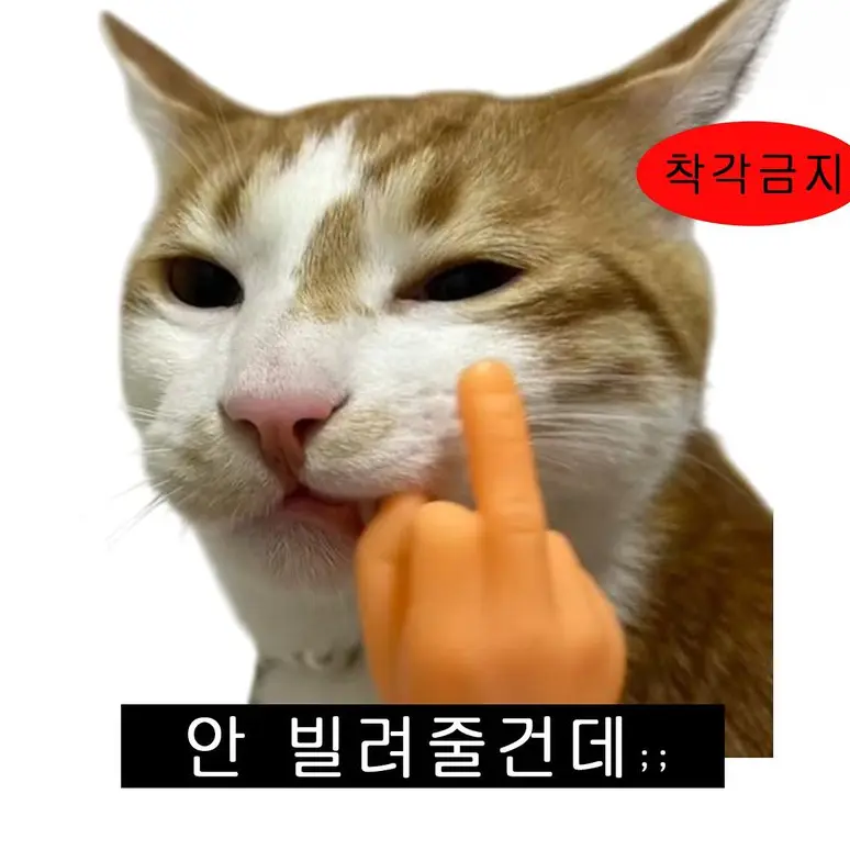 WITHREHA_HAEL의 김 냥이