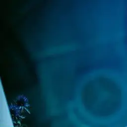 Profile image of 大森元貴