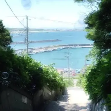 Profile image of 紬
