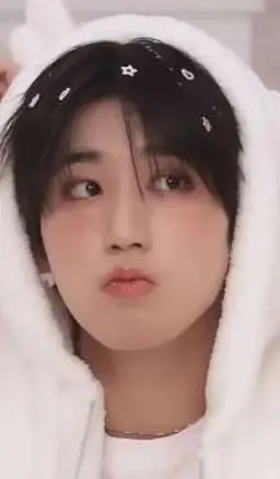 Profile image of Han Jisung