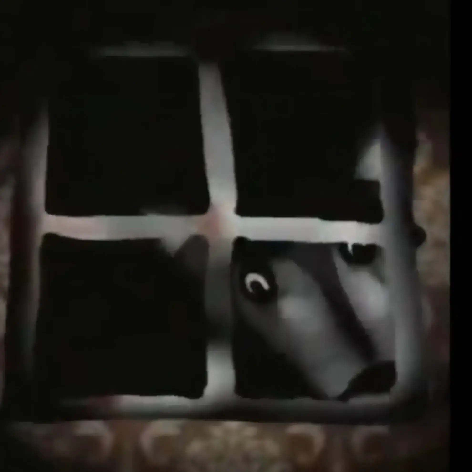 GrimEmu3574의 Big Bad Wolf - Foxymation