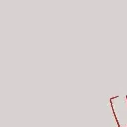 Profile image of 日本