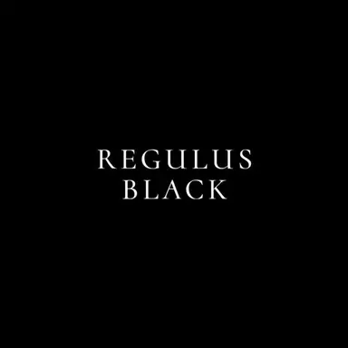 Profile image of Regulus Black