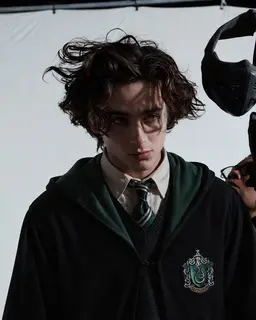 Profile image of Regulus Black