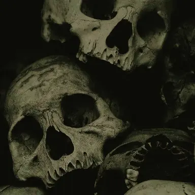 Profile image of Regulus Black