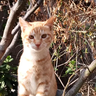 Profile image of 각별