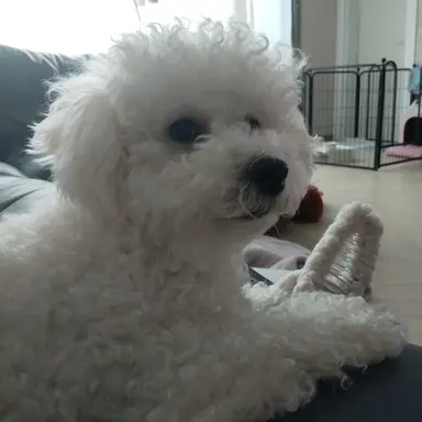 Profile image of 박덕개