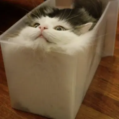 Profile image of 선생님