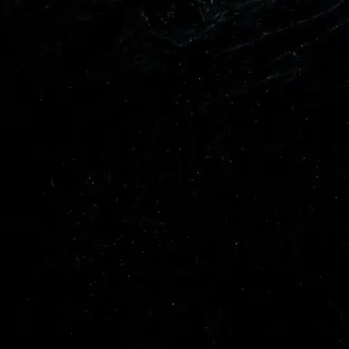 Profile image of 앨리오