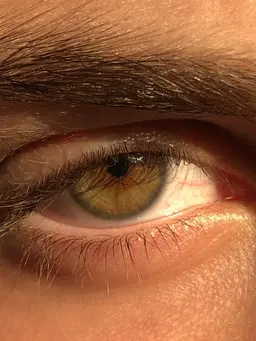Profile image of Nathan