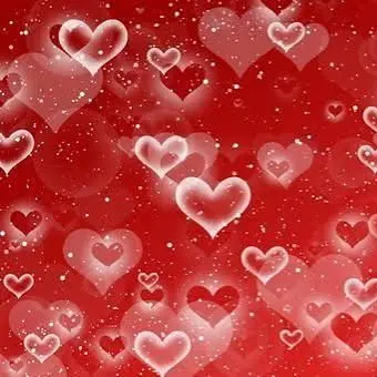 Yui_1017의 timelesz幼稚園