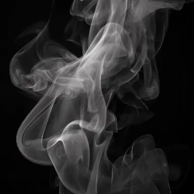 Profile image of 그레이브