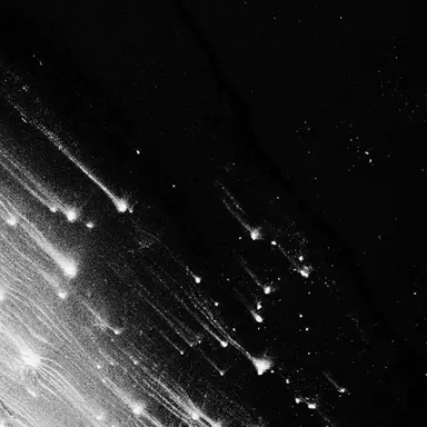 Profile image of Mill