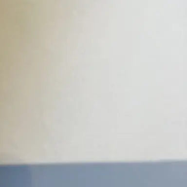 Profile image of 雨