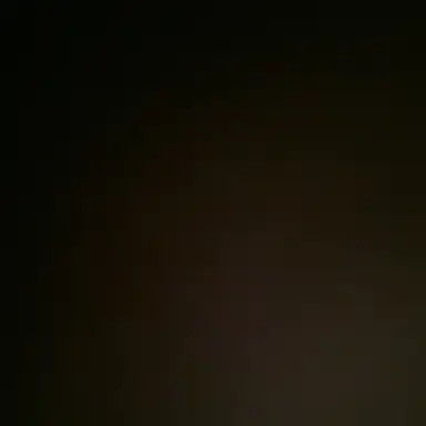 Profile image of 김유연