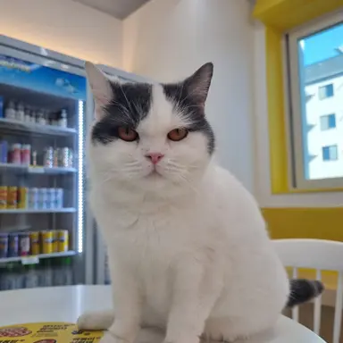 Profile image of 유저