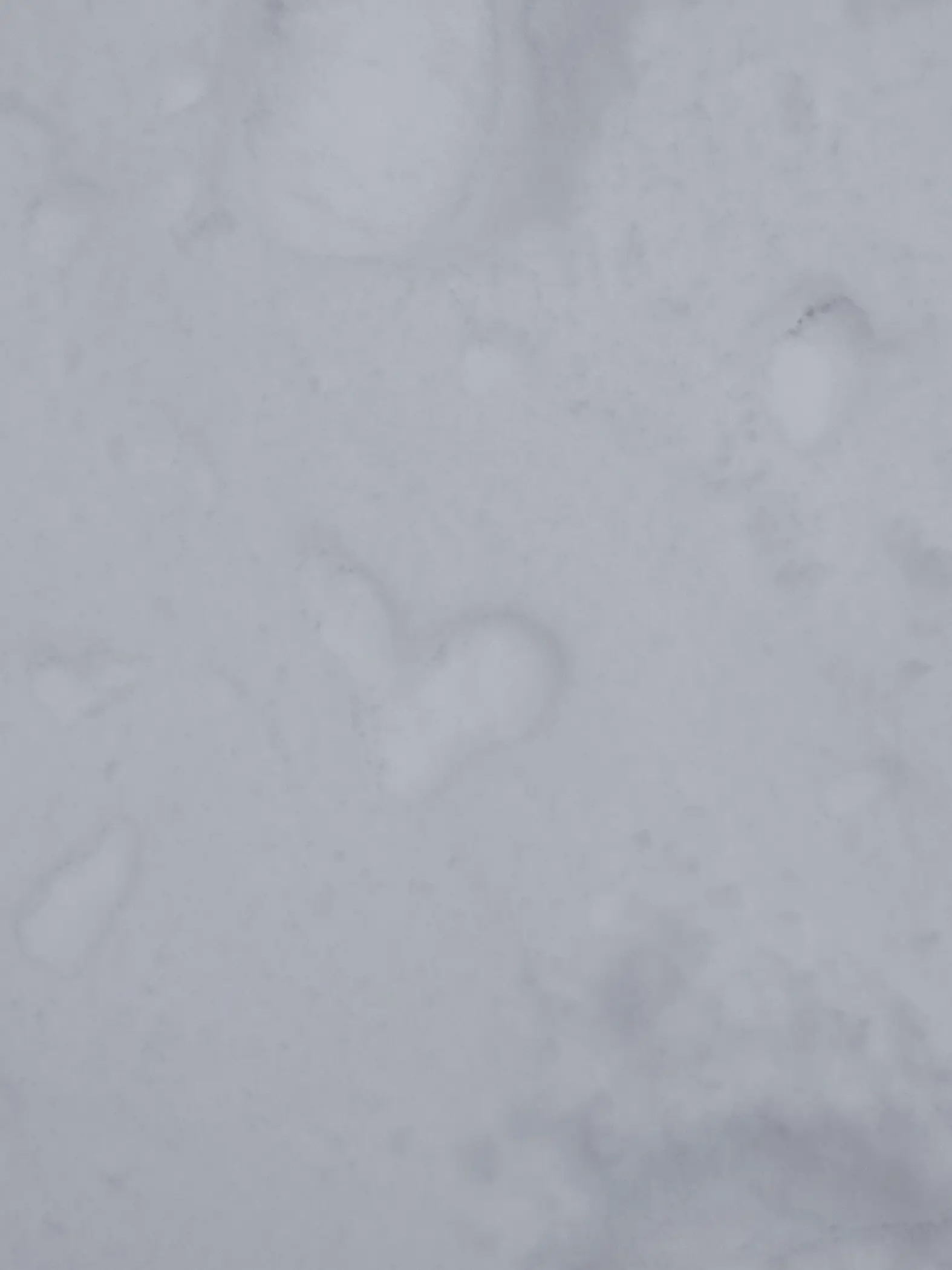 SharpArco1496의 俺「僕」から逃げられないから