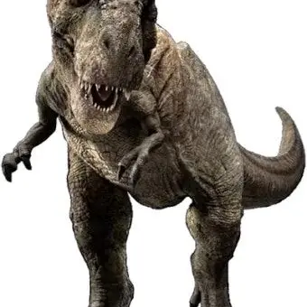 Profile image of 렉시