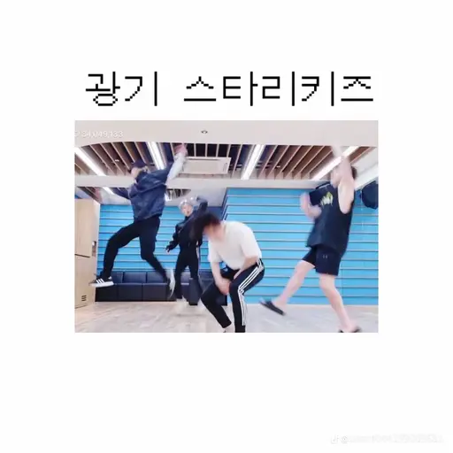 CattyBroth4346의 스키즈의 막둥이가 되었다!!