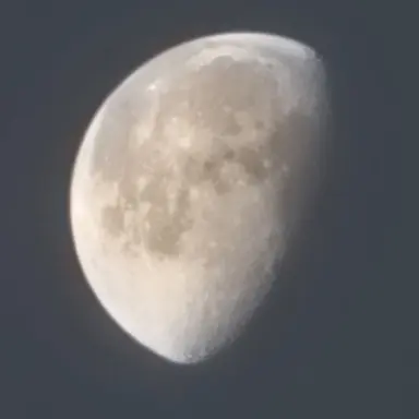 Profile image of 루카