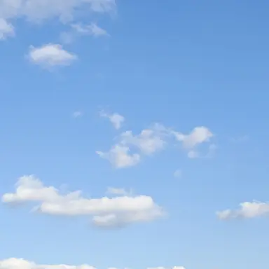 Profile image of 여학생1