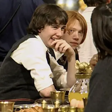 Profile image of Neville Longbottom