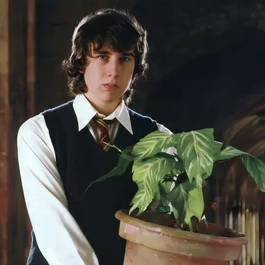 Profile image of Neville Longbottom
