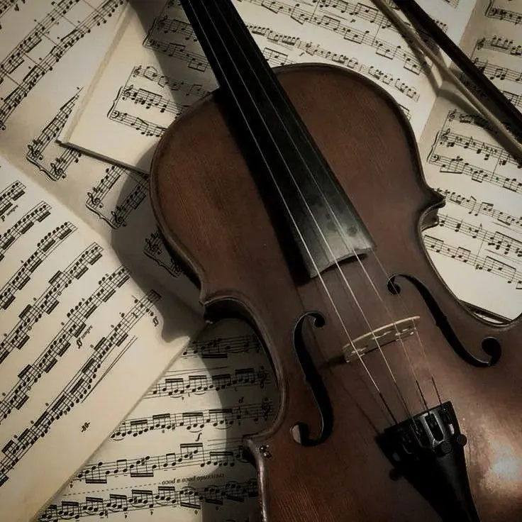 010-xxxx-xxxx의 바이올린 흉҉̧̕기.