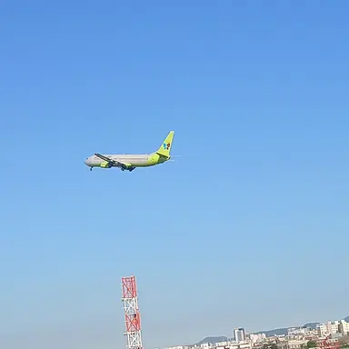 Profile image of Jin Air
