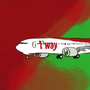 Profile image of T'way 737