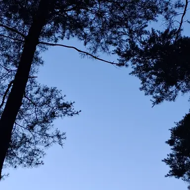 Profile image of 꽥