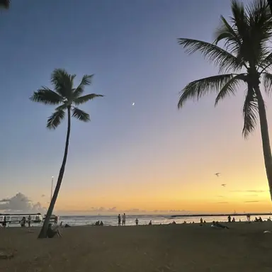 Profile image of 레제