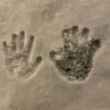 Profile image of 파워